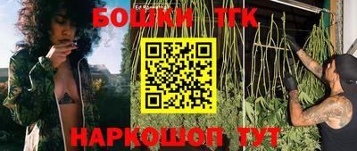 дмт Новозыбков