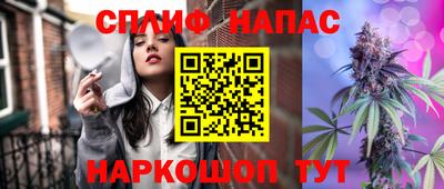 гашик Новокубанск