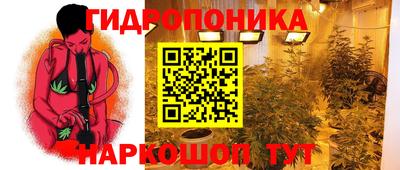 дмт Новозыбков