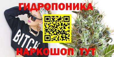 дмт Новозыбков
