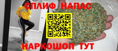 гашик Новокубанск