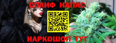 дмт Новозыбков