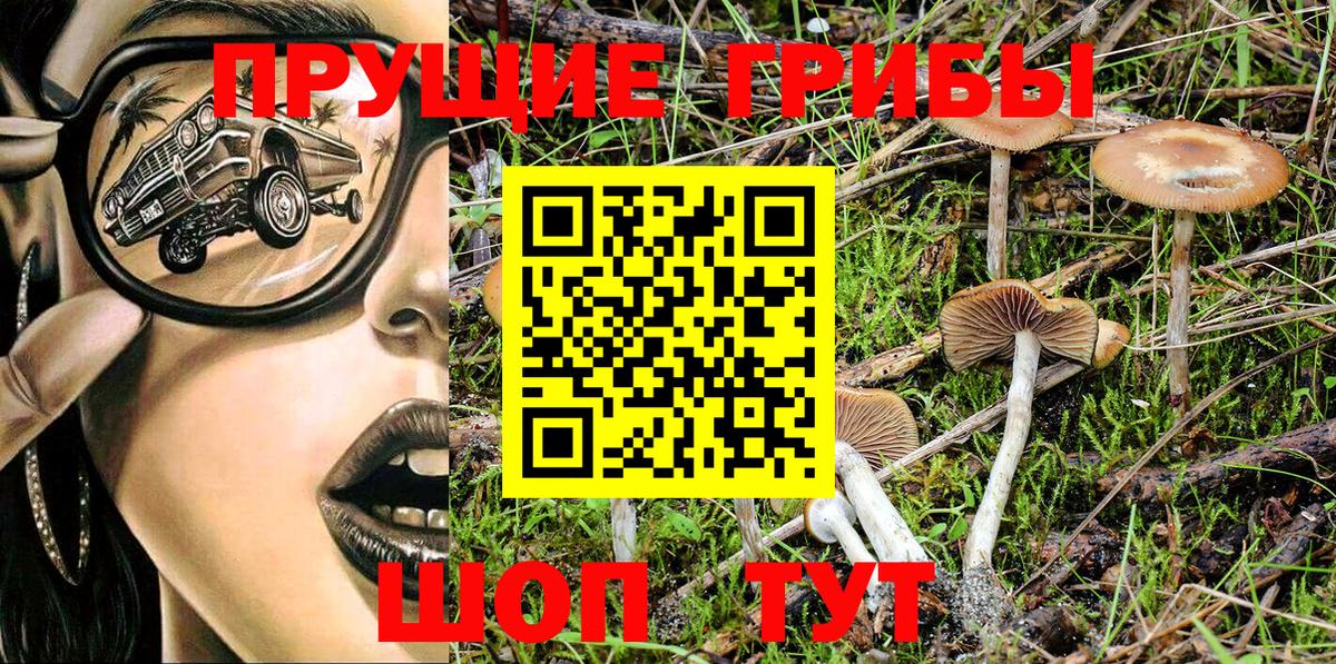 Пыть-Ях  Галлюциногенные грибы Psilocybine cubensis  Вход с VPN 