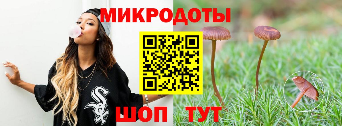 Галлюциногенные грибы Psilocybe Пыть-Ях