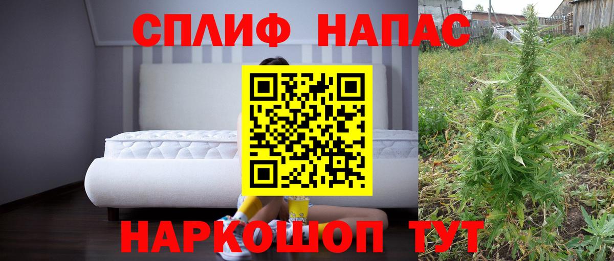 Конопля планчик Пыть-Ях